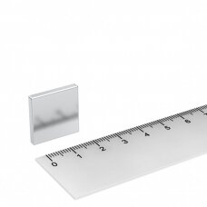 20x20x3 N42 Neodymium magnetas