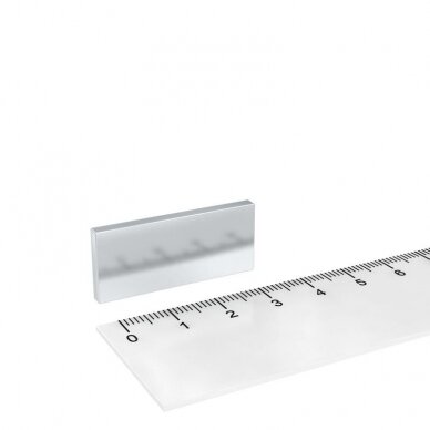 30X10X5 N42 Neodymium magnetas