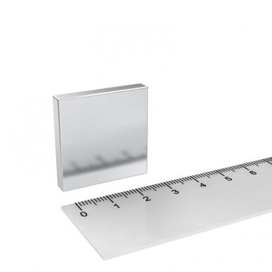 30X25X5 N42 Neodymium magnetas
